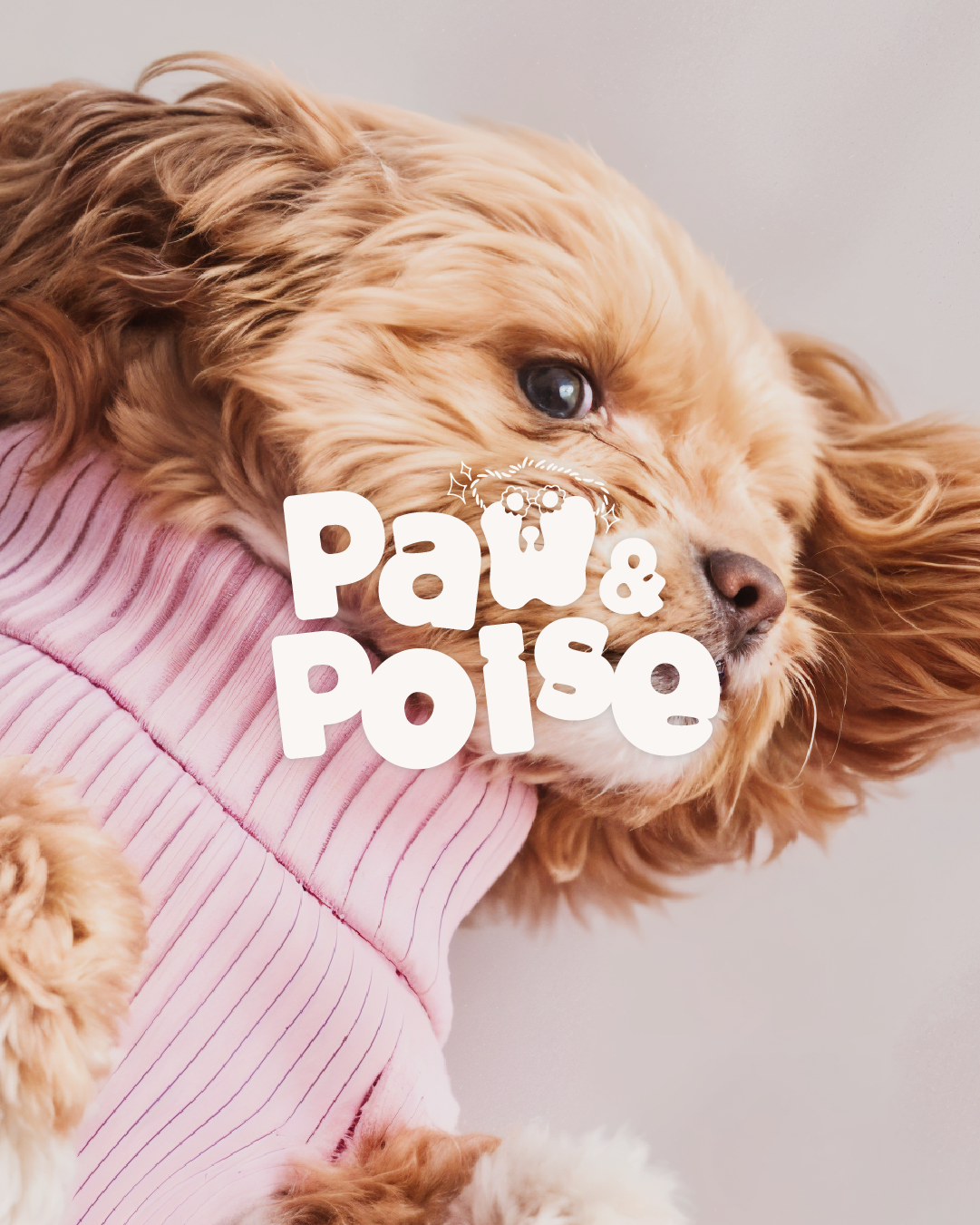 Paw&Poise_Plan de travail 1-12